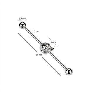 Industrial Barbell Skull