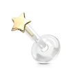14 Karat Gold Labret Stern Flach Gelbgold Weißgold