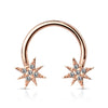 Hufeisen Piercing Sterne Zirkonia Gold