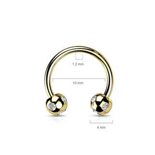 Horseshoe 5 Zirconia