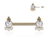 Nippelpiercing Zirkonia Gold Push-In