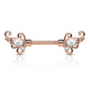 Nippelpiercing Flügel Zirkonia