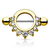 Nippelpiercing Zirkonia Rund
