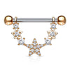 Nippelpiercing Stern beweglich Zirkonia