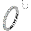 Titanium Ring moissanite Segment
