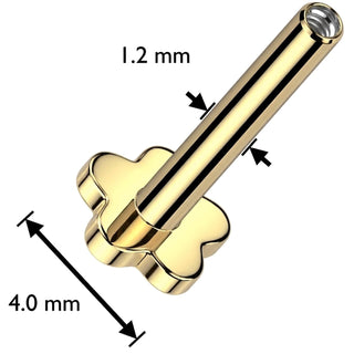 Titanium Base base flower Internally Threaded