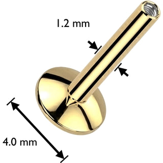 Titanium Base labret base Internally Threaded