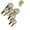 Titanium top cross zirconias Internally Threaded