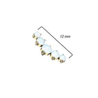 Titanium Top 5 Opals Internally Threaded
