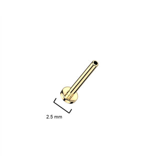 Base labret base flat back 2.5mm Push-In