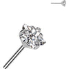 Titanium Top top star zirconia Push-In