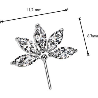 Titanium Top flower marquise cut zirconia Push-In