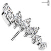 Titanium Top top fan 6 zirconias Push-In