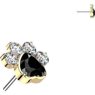 Titanium Top top paw zirconia Push-In