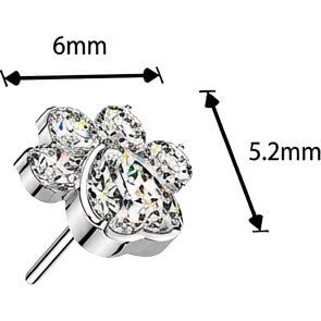 Titanium Top top paw zirconia Push-In