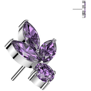 Titanium Top leaf zirconias Push-In