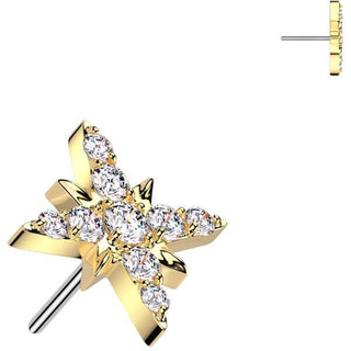 Titanium Top top starburst Push-In