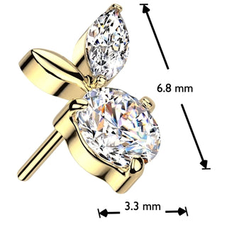 Titanium Top top leaves zirconia Push-In