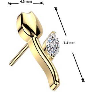 Titanium Top top tulip zirconia Push-In