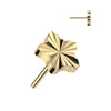 Titanium Top Top Star Diamond Cut Push-In