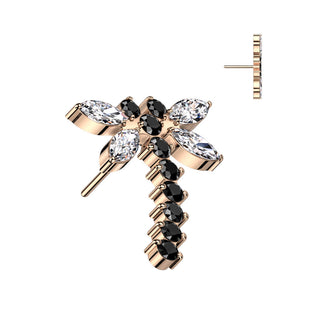 Titan Top Top Libelle Zirkonia Push-In