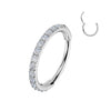 Ring zirconias Segment