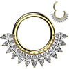 Titan Ring Zirkonia Fächer Marquiseschnitt Segment 