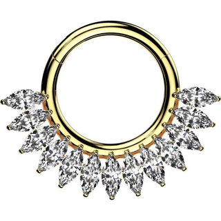 Titan Ring Zirkonia Fächer Marquiseschnitt Segment 