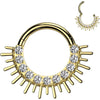 Titan Ring Zirkonia Stachel Fächer Segment 