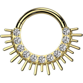 Titan Ring Zirkonia Stachel Fächer Segment 