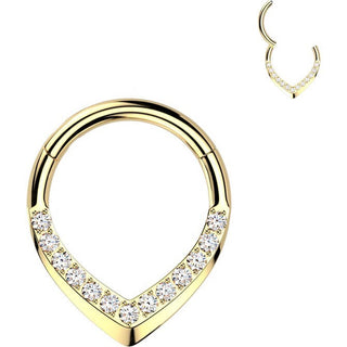 Titanium Ring teardrop zirconia Segment