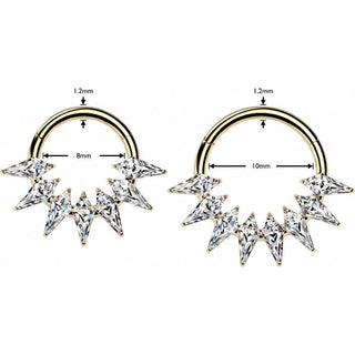 Titanium Ring spikes zirconia Segment