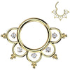Titan Ring Filigran Zirkonias und Kugeln Segment 