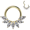 Titan Ring Zirkonia Marquise Schliff Fächer Segment 