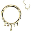 Titanium Ring drops Segment