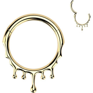 Titanium Ring drops Segment
