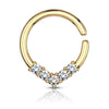 Ring Zirkonia Gold Biegbar