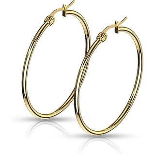 Hoop Earring 316L Gold IP Round Hoop Earrings 1 Pair