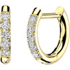 Earring Zirconia Accent 1 Pair