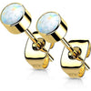 Titanium Stud Earring Titan Earring Studs Bezel Setting Round Opal 1 Pair