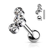 Titan Barbell 3 Zirkonia Silber Innengewinde