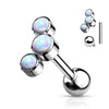 Titan Barbell 3 Opal Silber Innengewinde