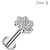 Titanium Labret paw zirconia Internally Threaded
