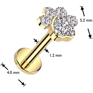 Titanium Labret paw zirconia Internally Threaded