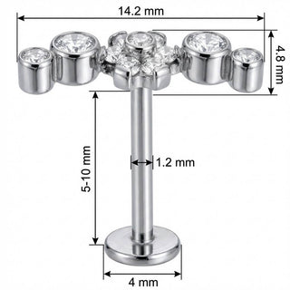 Titan Labret Kristall Blume Bogen Cluster Innengewinde