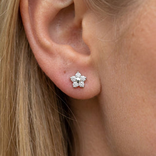 Titanium Earring Five Petal Flower Blossom