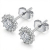 Titanium Earring Clear Gem Halo Flower