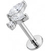 Titan Labret Marquise Kristall Blatt Cluster Innengewinde