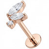 Titanium Labret Marquise Crystal Leaf Cluster