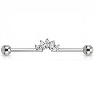 Titanium Industrial Barbell Marquise Crystal Fan
